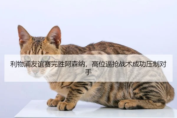 利物浦友谊赛完胜阿森纳，高位逼抢战术成功压制对手